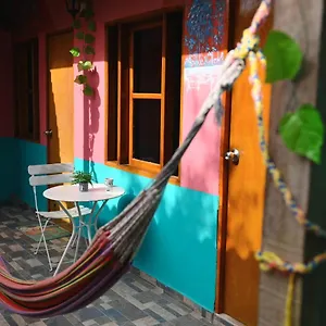https://dora-hostal.cartagena-hotels.org