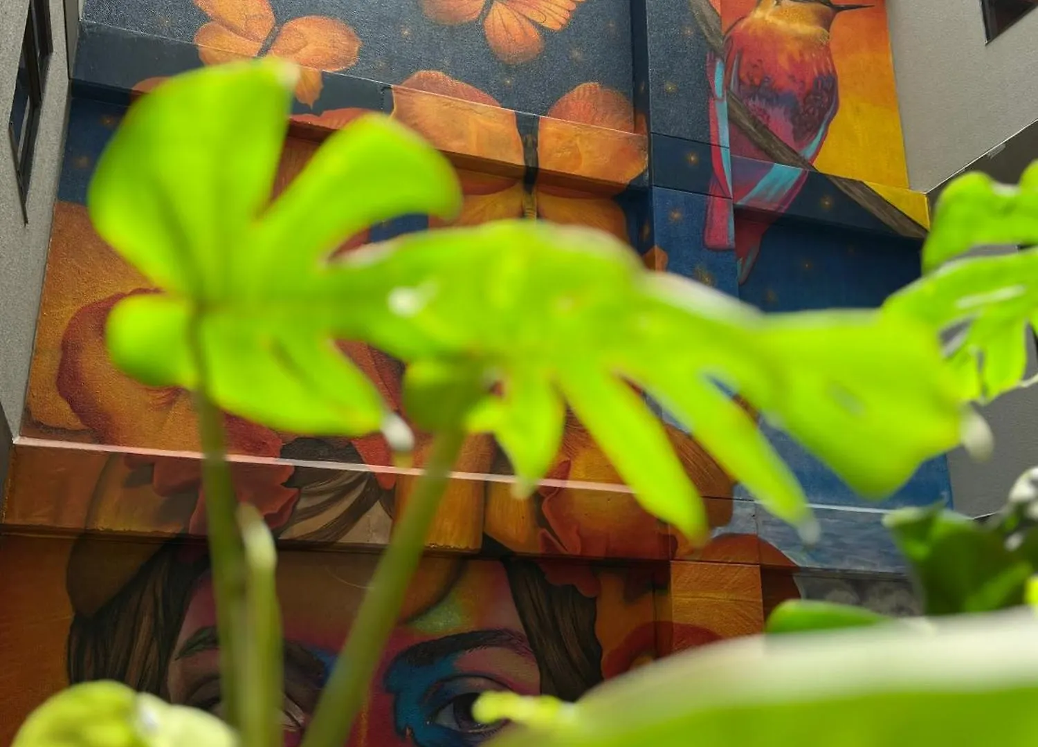 Los Patios Cool Living Medellin Hotel